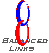 Balanced Links